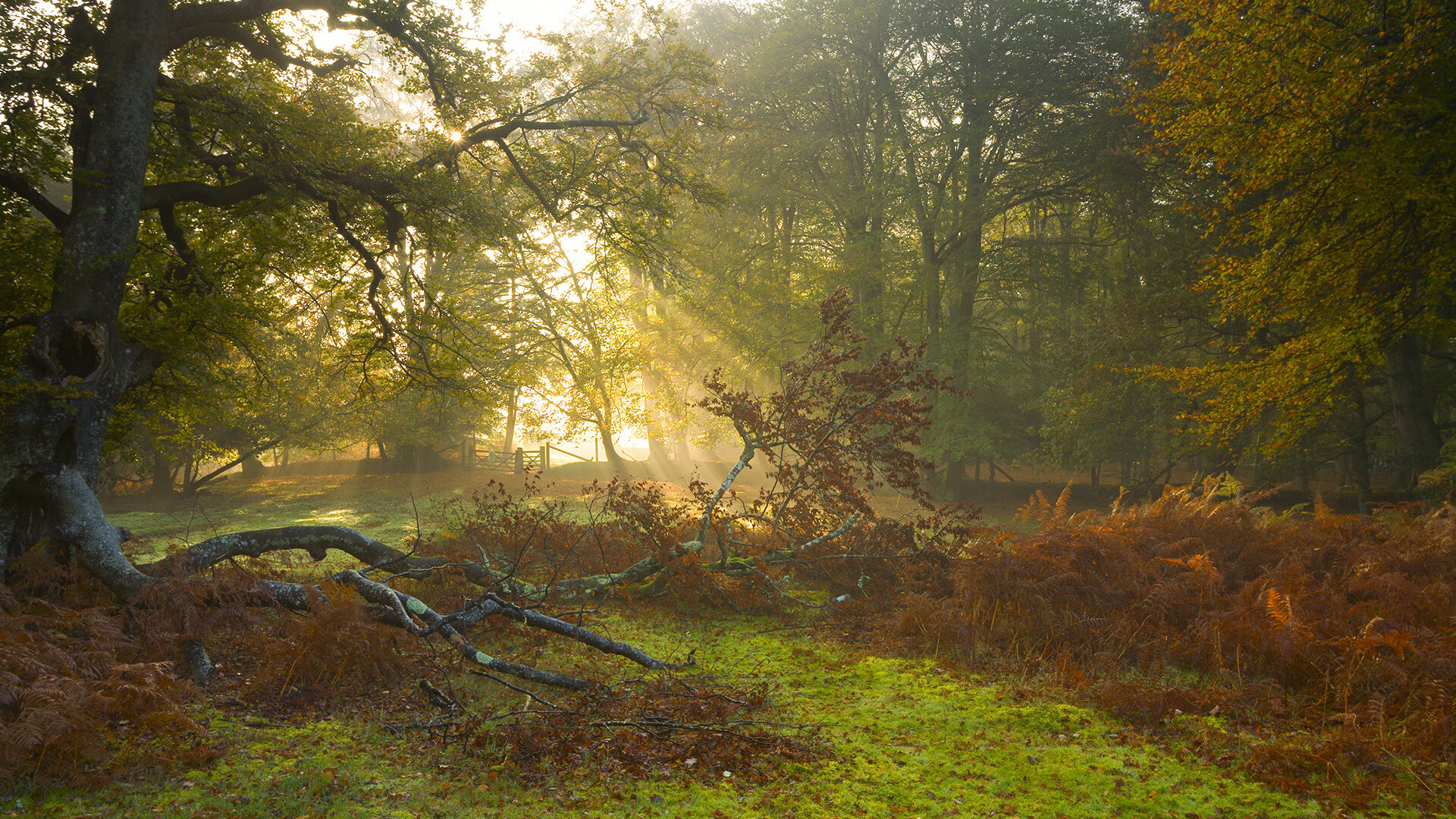 _快船迎战劲敌,团结一心争取每一场胜利_,快船队的比赛
