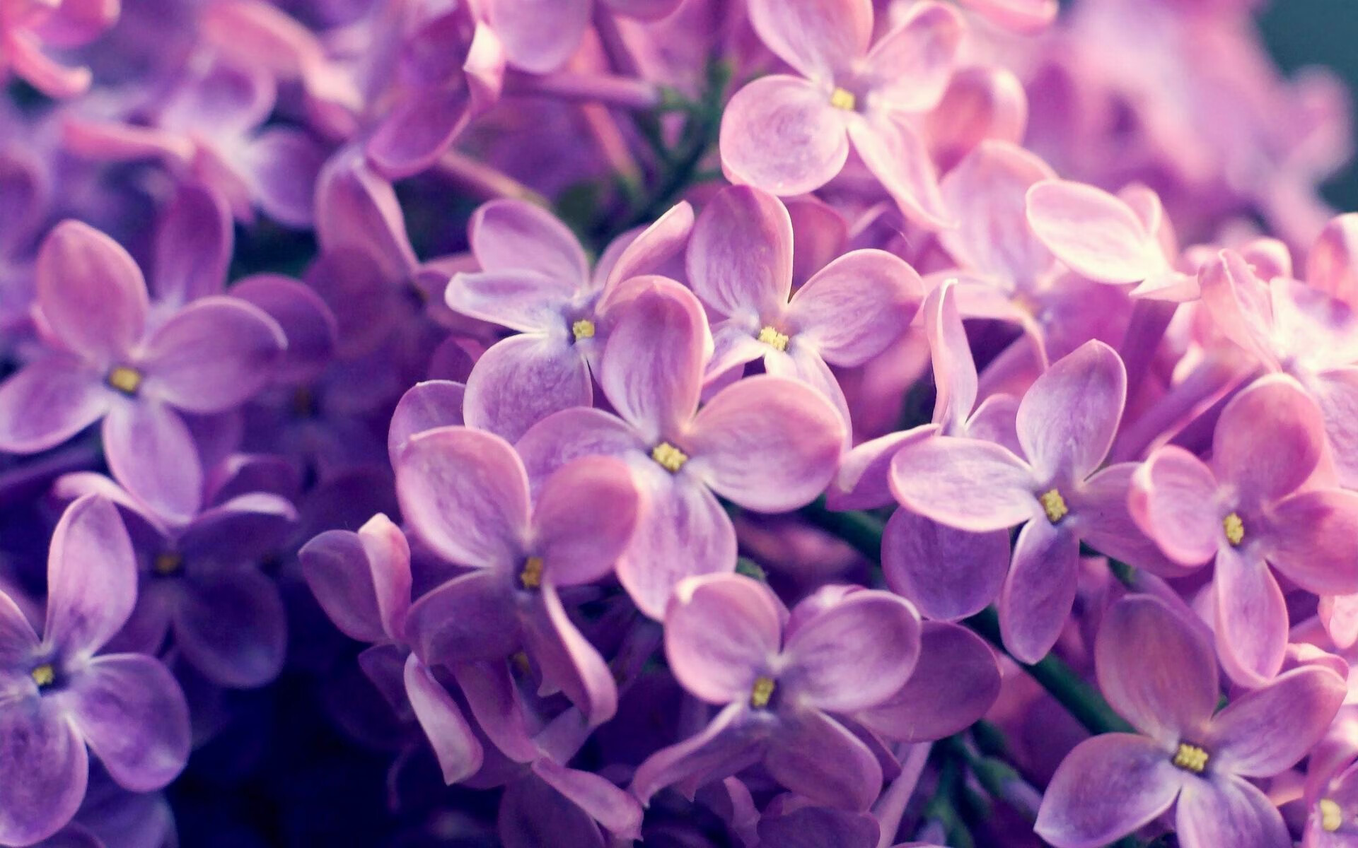 乐鱼娱乐app-【悬念终揭晓】决赛中绝杀一击定乾坤，绝杀一红成绩