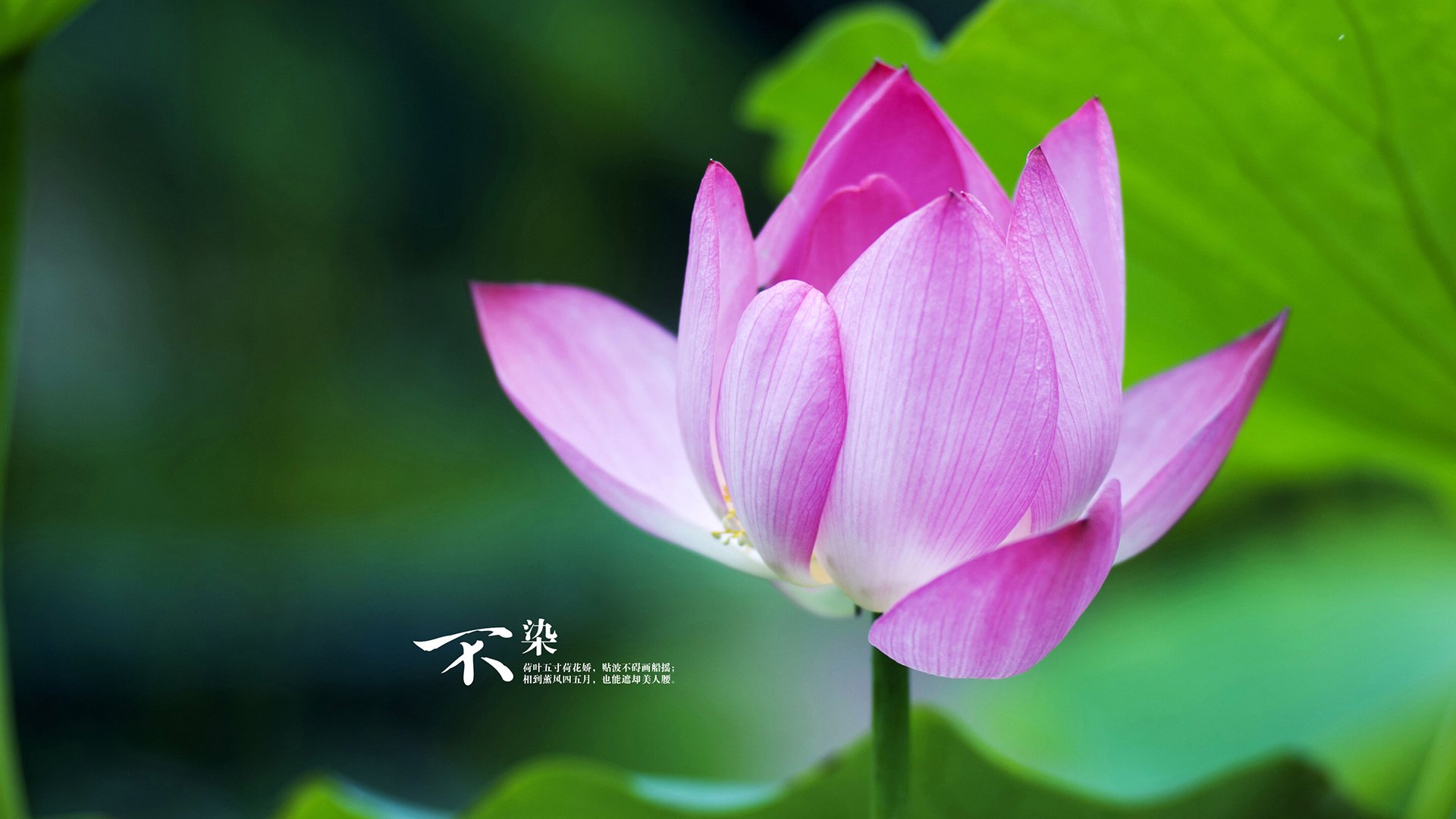 乐鱼官方登录入口-儿童体育嘉年华，快乐成长的起点，儿童体育节绘画作品