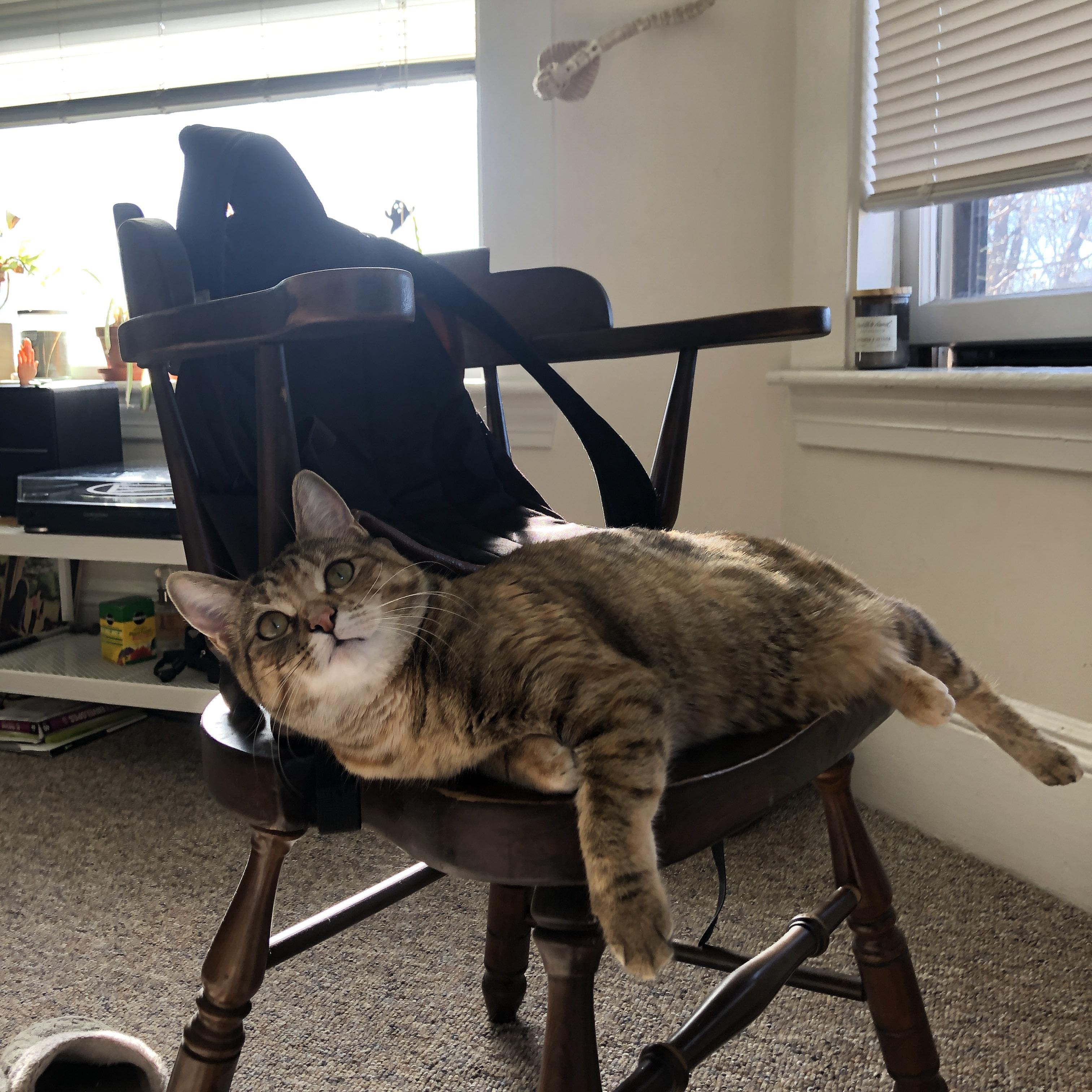 leyu乐鱼官网登录入口-决胜时刻：最后一攻，王强三分绝杀定局！，决胜时刻最后片段是真的