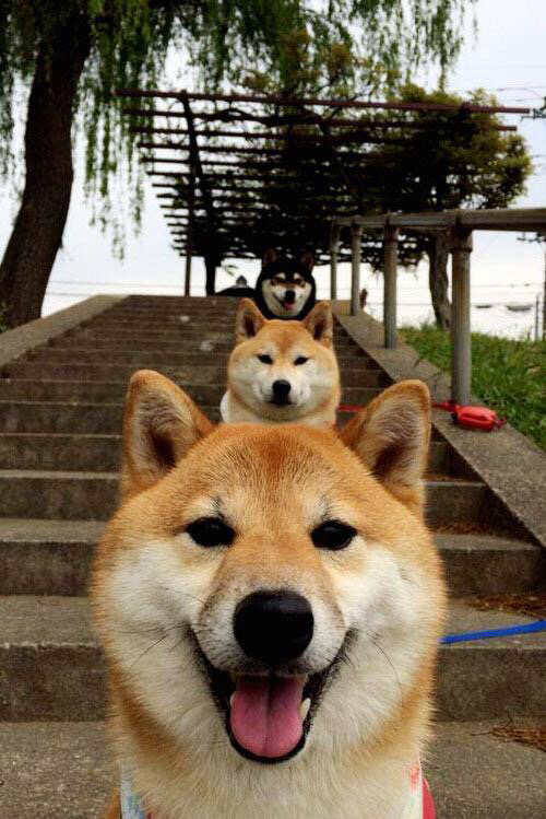 比利亚雷亚尔在欧协联中晋级半决赛，比利亚雷亚尔队史冠军