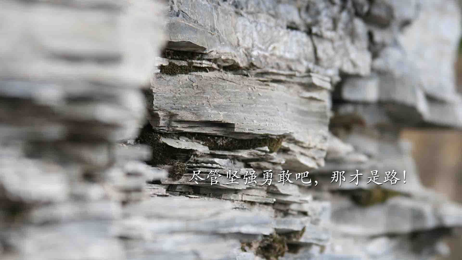 乐鱼体育平台官网-特色篮球文化社区建设，推动全民健身潮流，篮球区文化主题