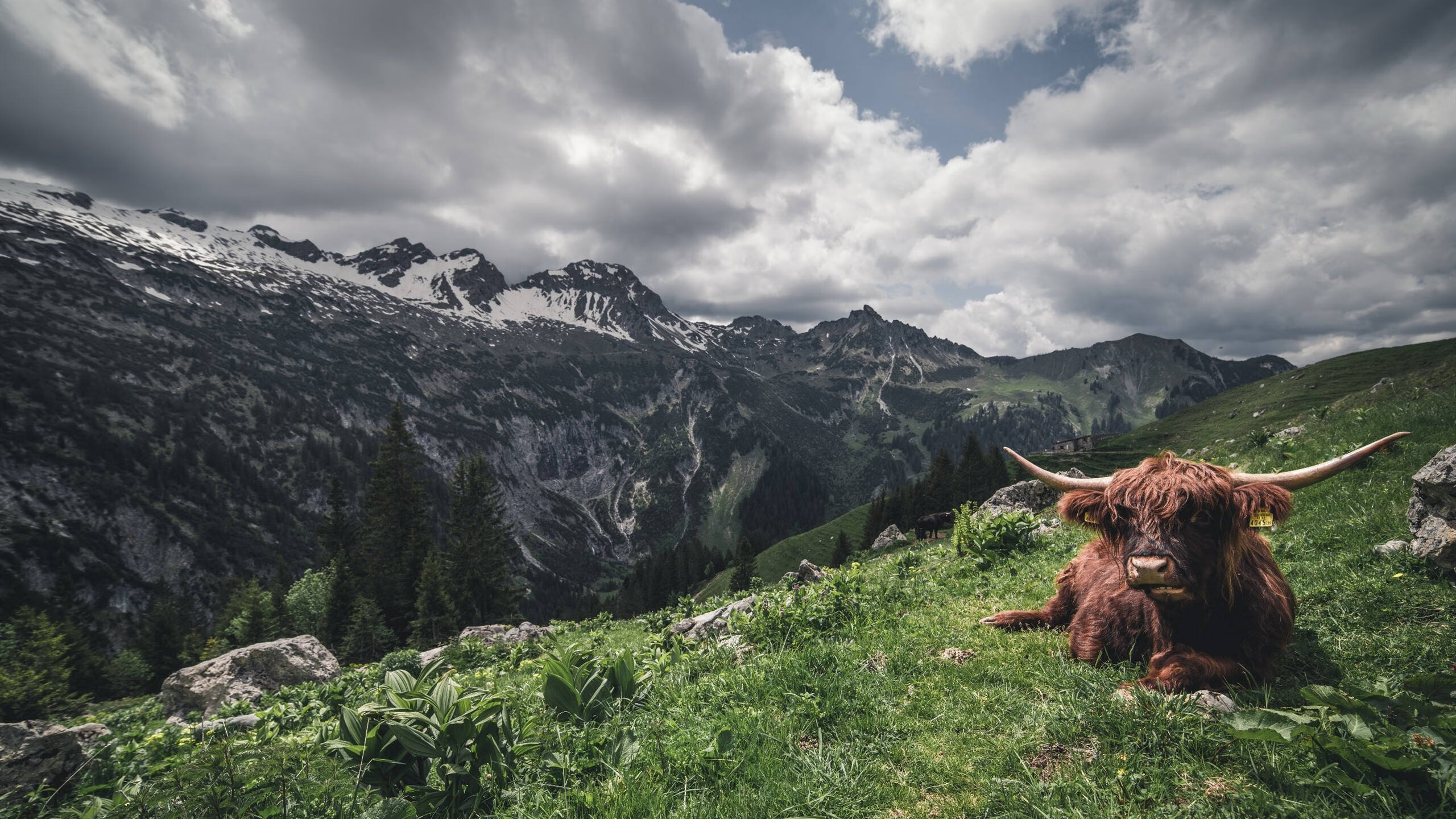 Leyu Sports (乐鱼体育)-青少年足球导师制度将在重点省份推，中国青少年足球队教练