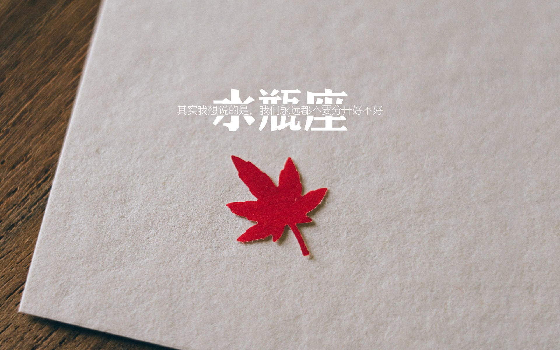 乐鱼vip-上海男篮表现出色，全队士气高涨，上海男篮实力