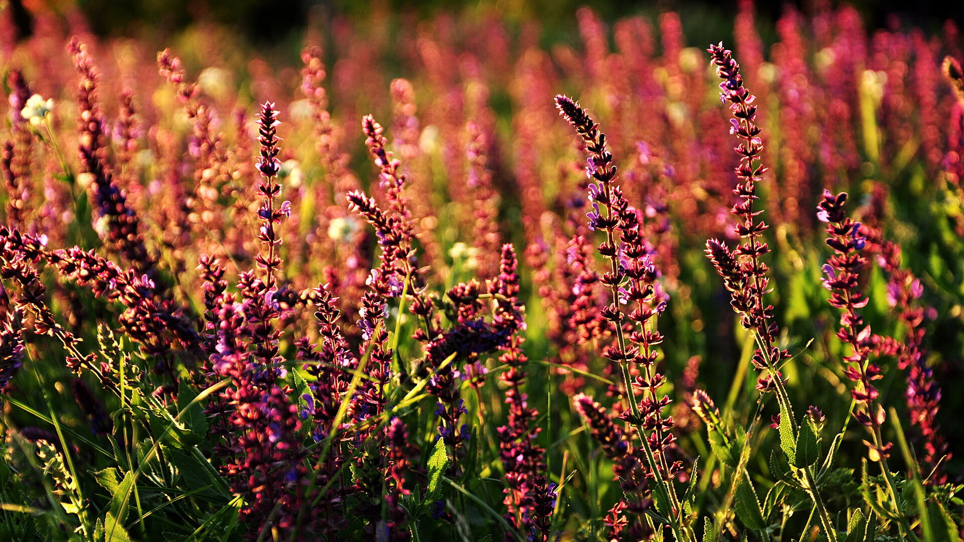 亚特兰大遭遇阻击，客场输给劲旅遭遇打击，亚特兰大近况