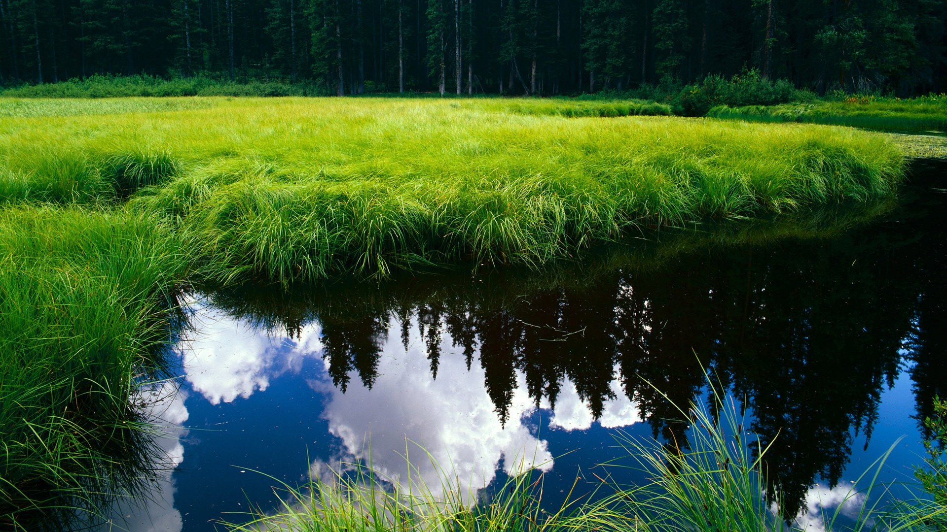 伊朗惊险逆转伊拉克,亚洲杯小组赛再获胜利,伊朗 亚洲杯