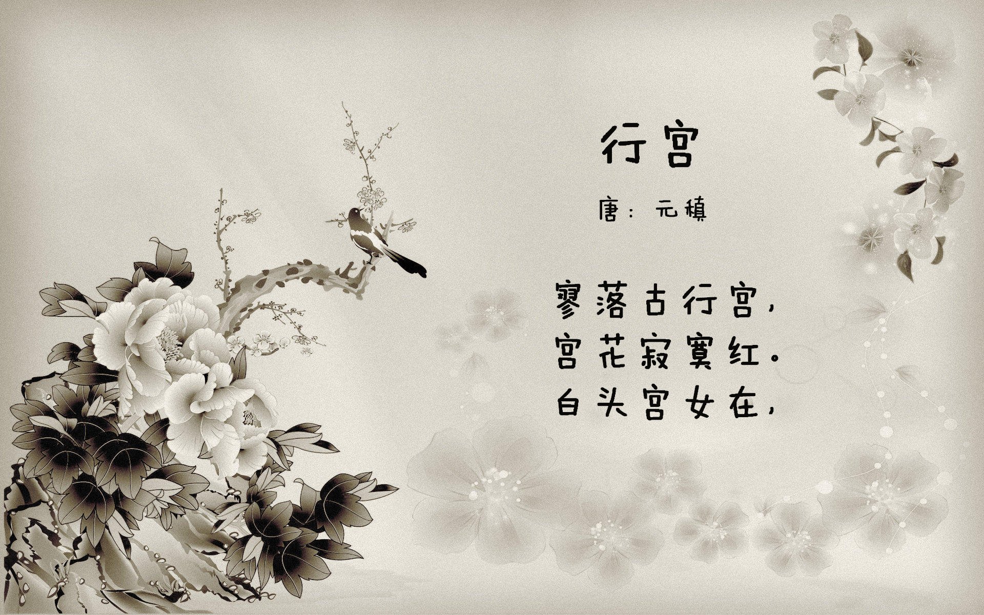 外援表现抢眼，球队士气大振备战新挑战，外援强大