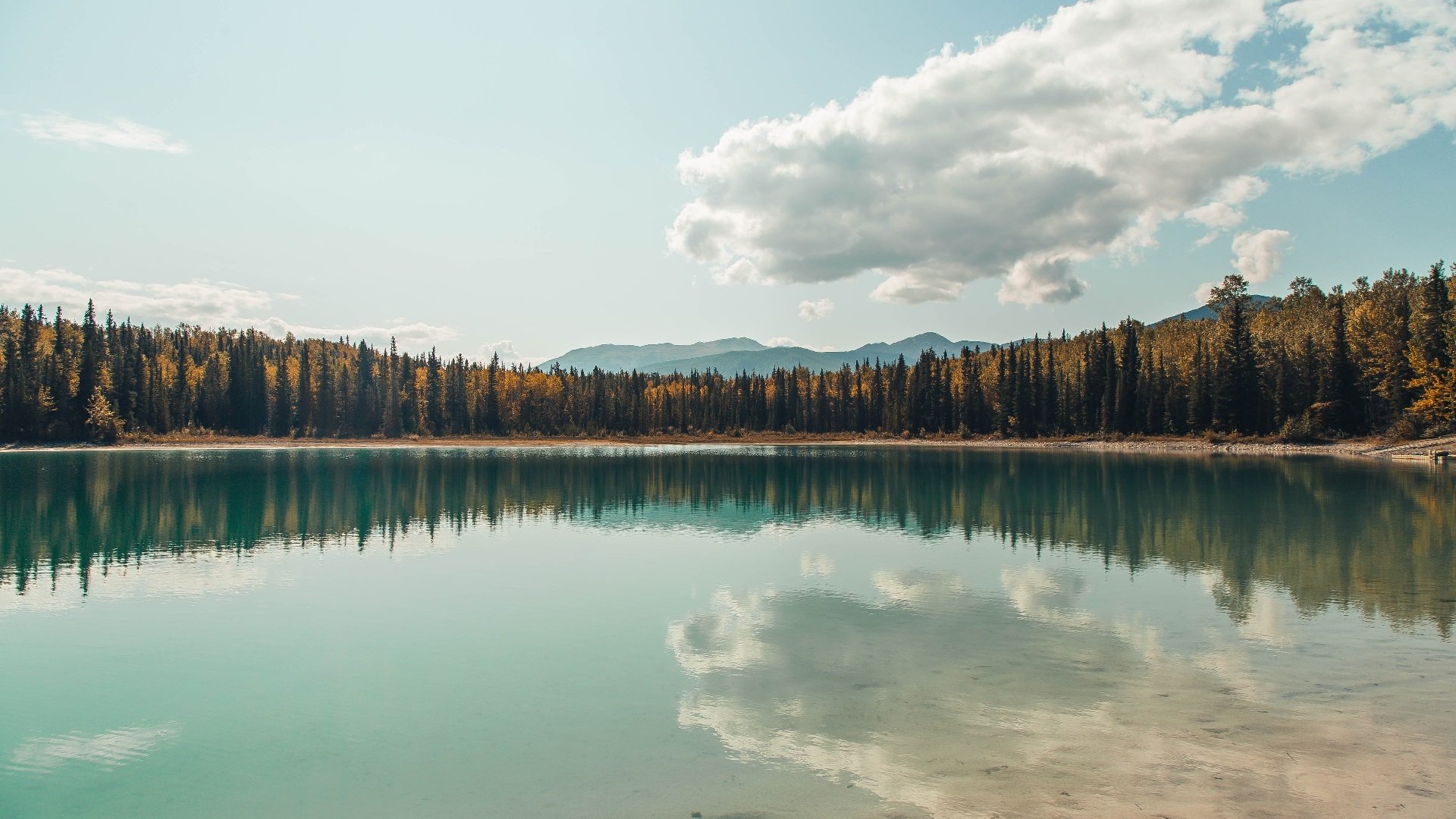 乐鱼电竞· (中国)官方网站-摩洛哥马术协会推出青少年马术培训计划，培养未来骑手。，摩洛哥马拉松