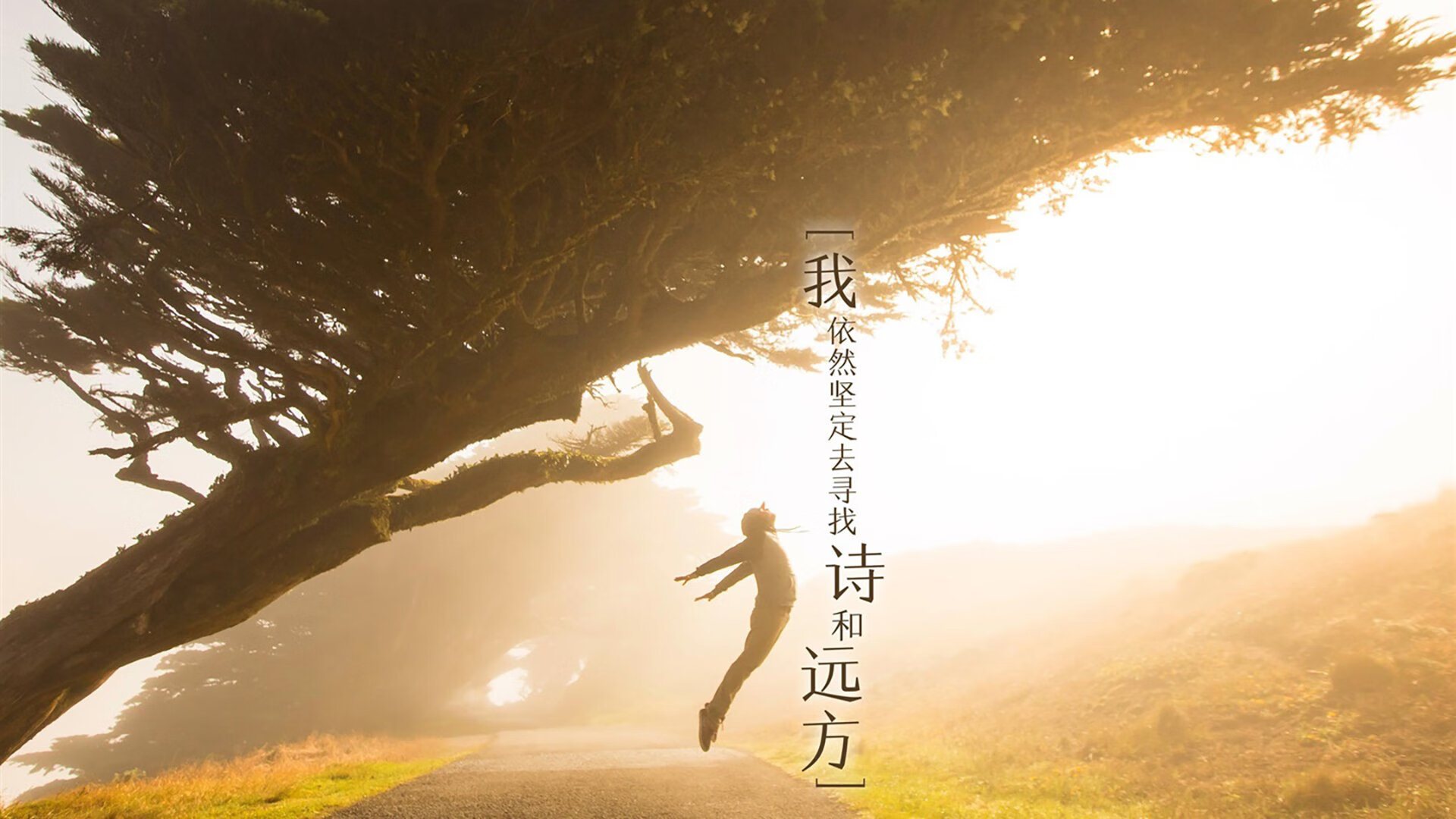 昂热迎战里尔,期待主场赢球破连败,昂热vs雷恩预测