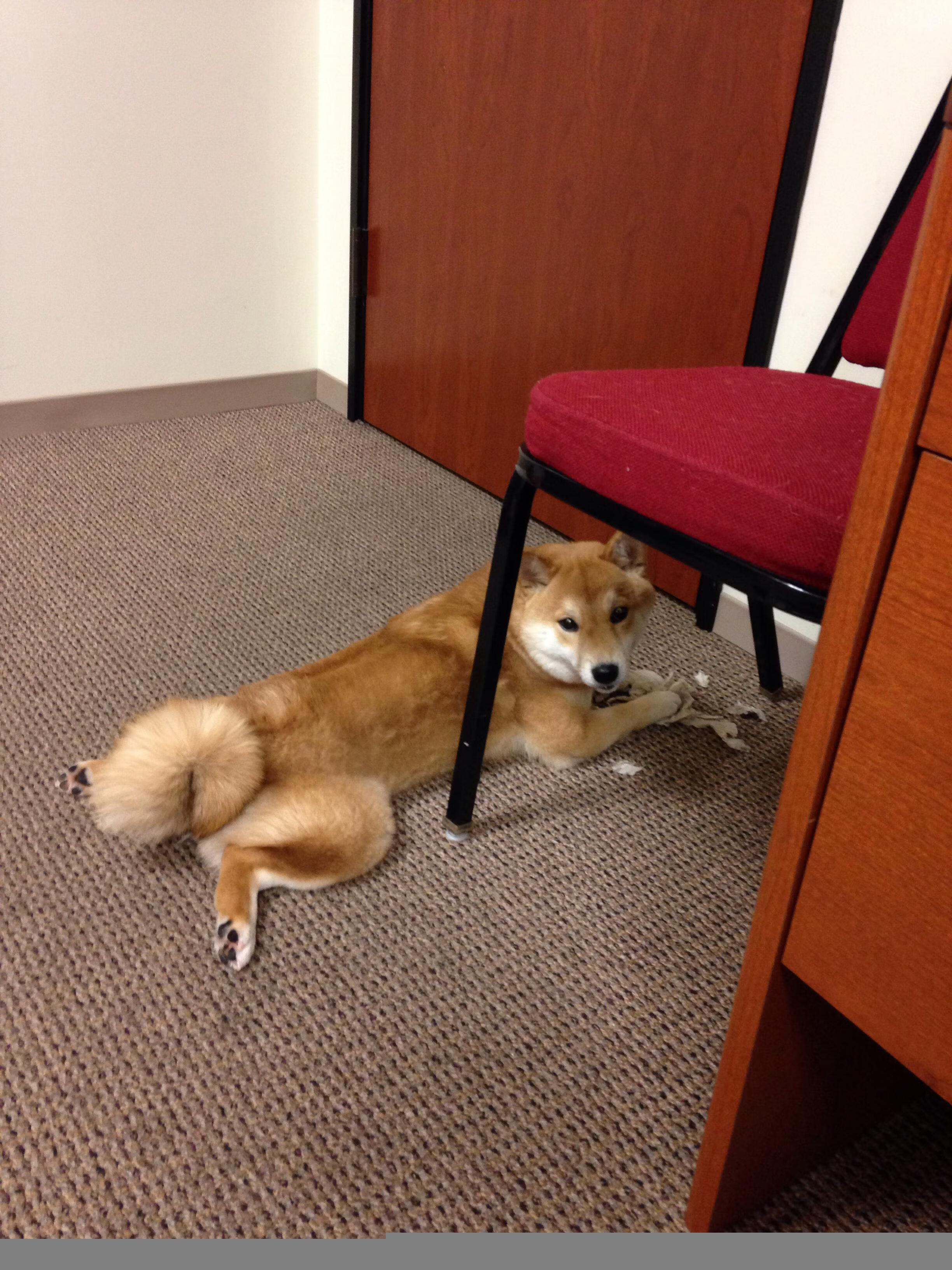 Leyu Sport下载-湖人险胜快船，总决赛中詹姆斯创下生涯新高，湖人总冠军詹姆斯说了什么