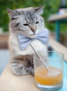 电竞直播平台的内容审核标准,电竞直播资质