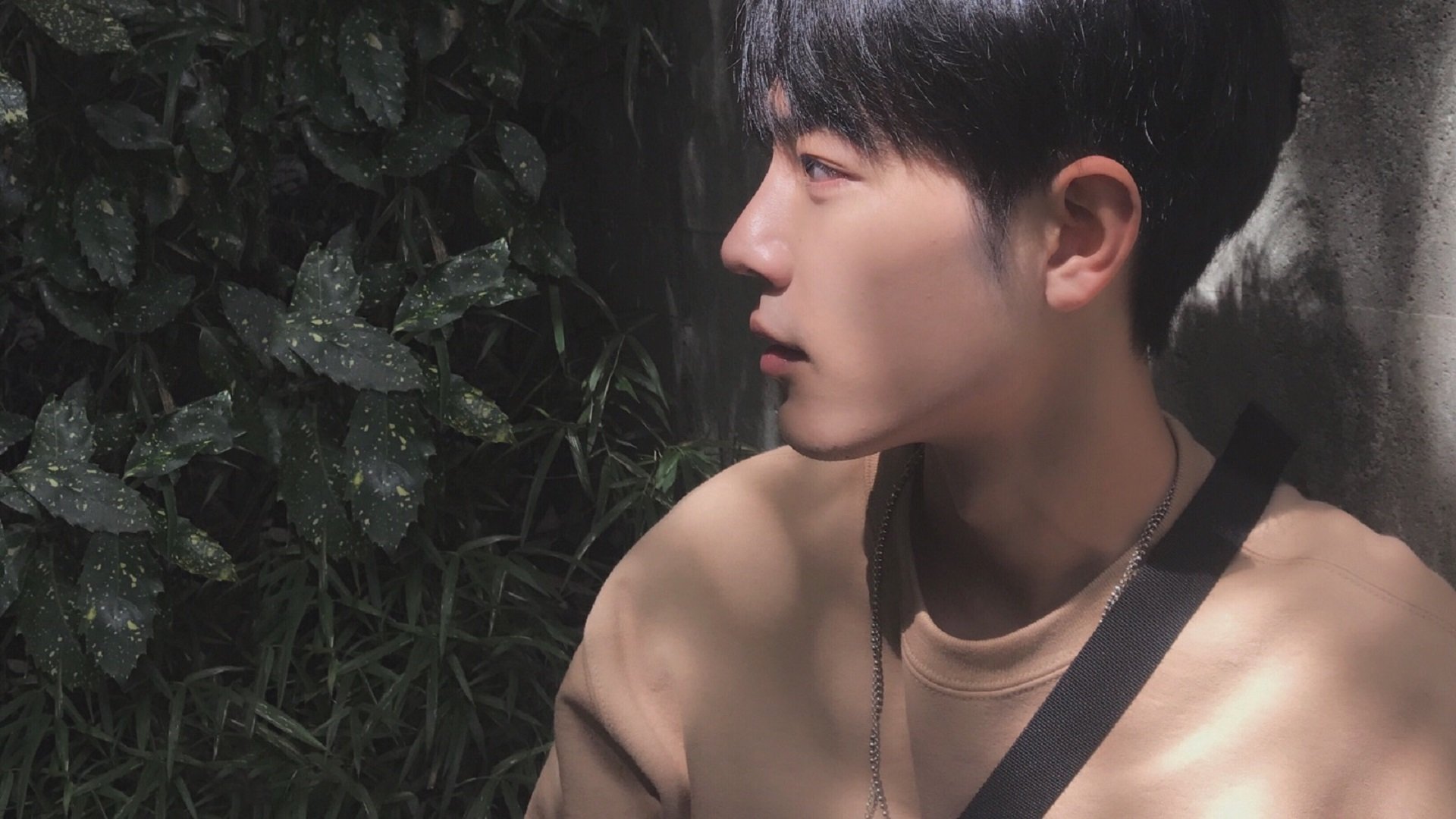 电竞直播平台的内容审核标准,电竞直播资质