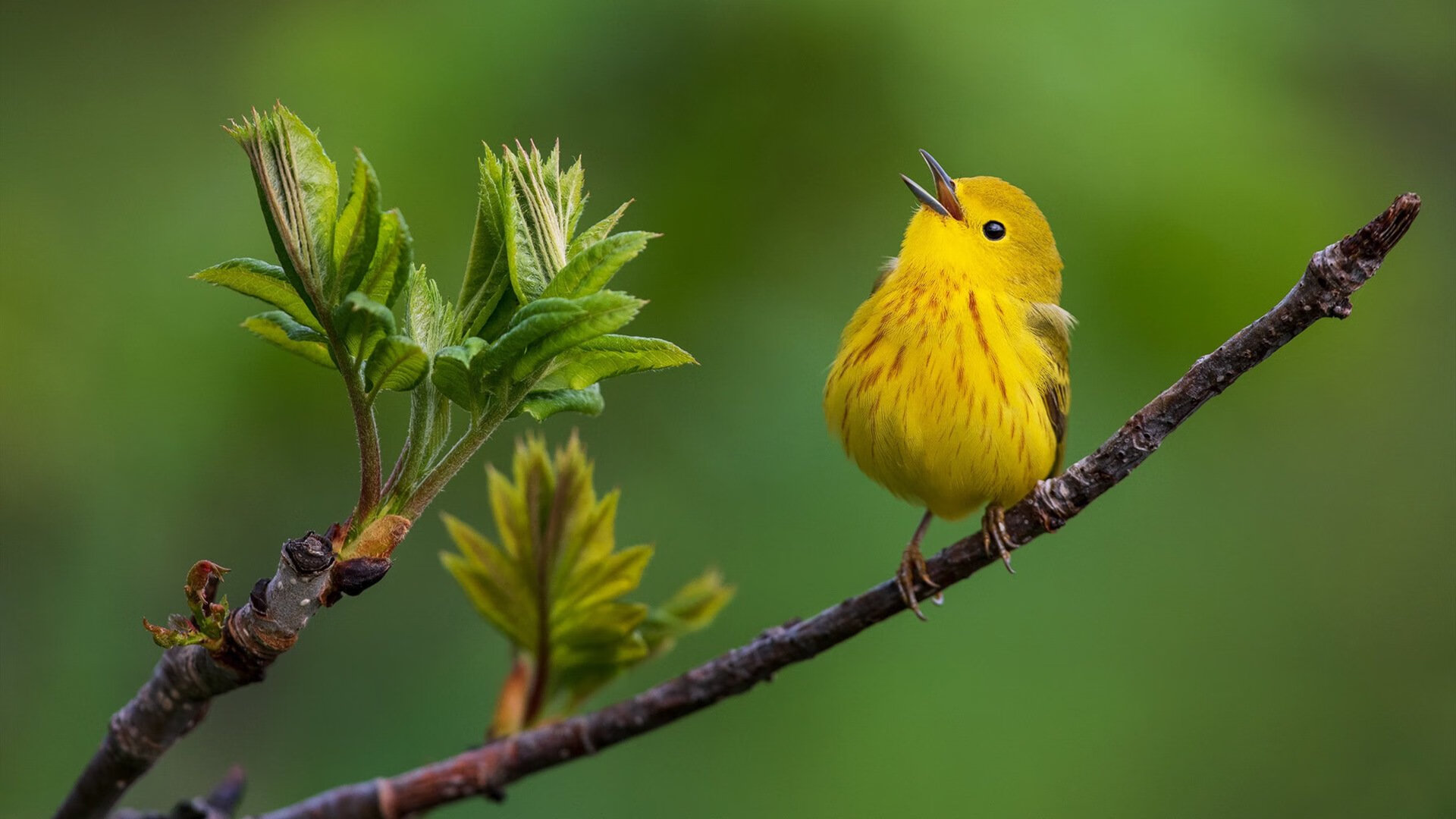 哥伦比亚马术协会与美洲马术协会合作,举办国际马术交流活动,促进文化互鉴。