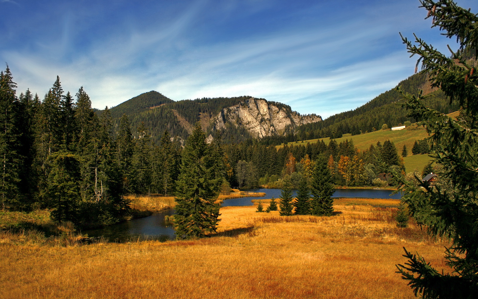 篮球运动员个性化训练模式研究,篮球训练型选手