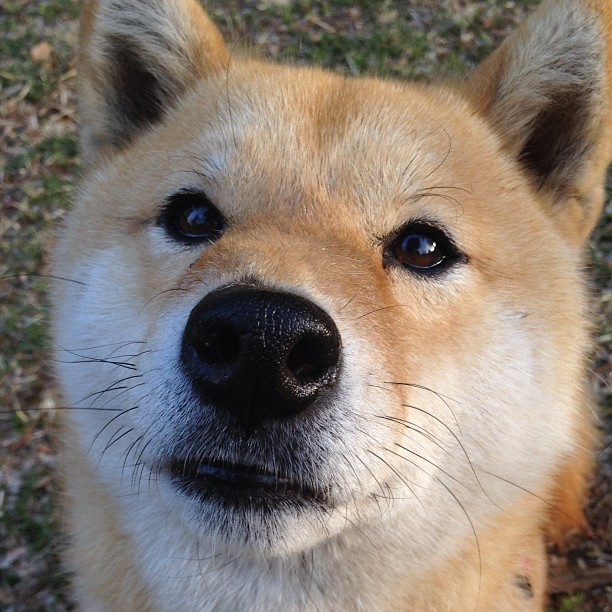 奥预赛中国女足战平 球迷呼吁加强体能训练,中国女足练兵