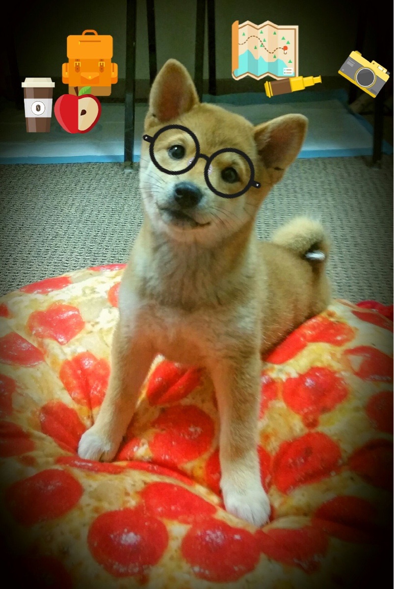 球队是否利用中圈区域制造节奏调控点