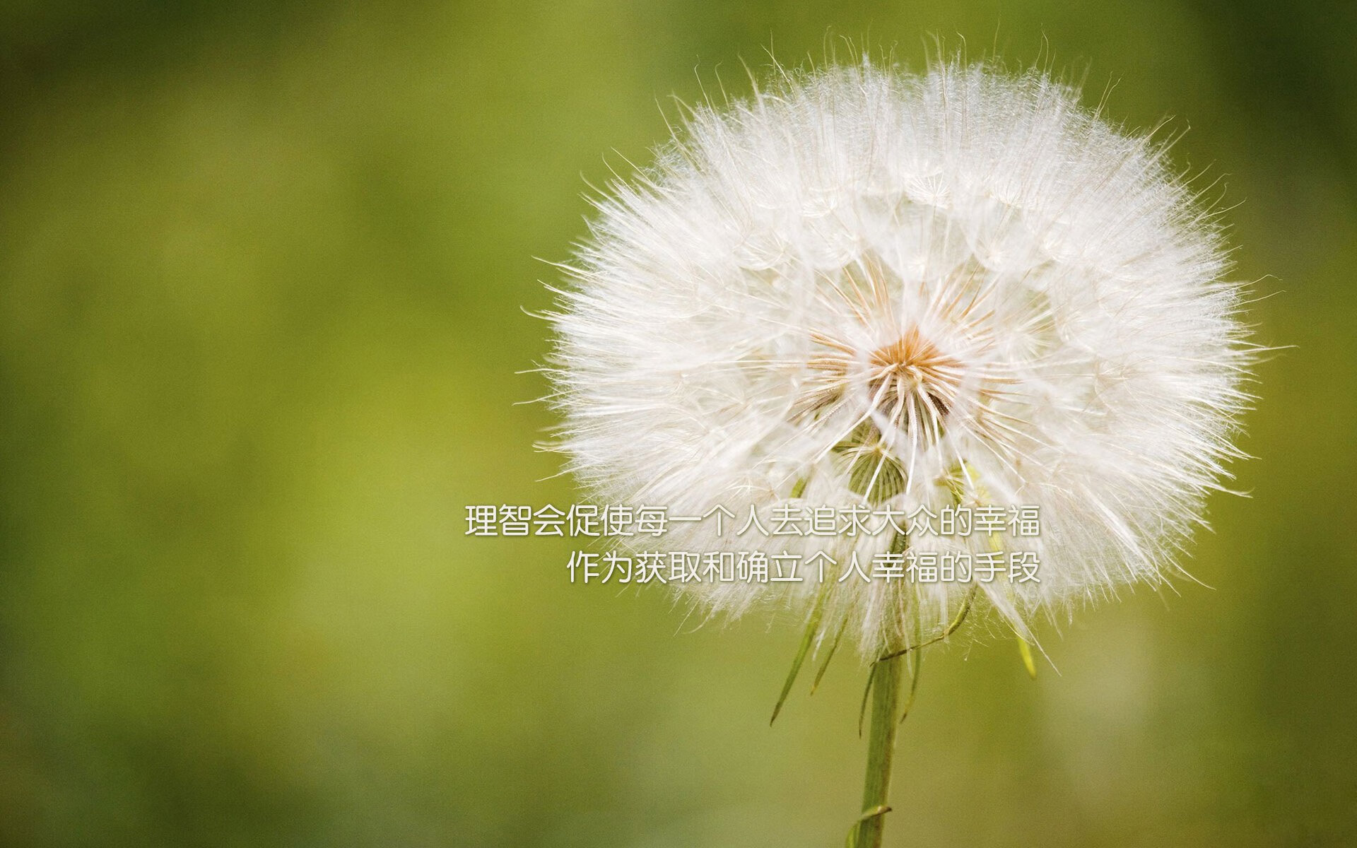 CBA常规赛收官广东稳居榜首,cba广东常规赛冠军