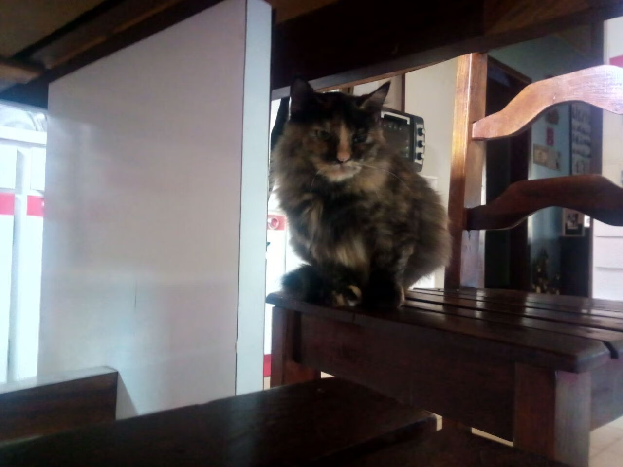 中国足球国家队调整训练内容应对高强度对抗，中国足球队训练视频