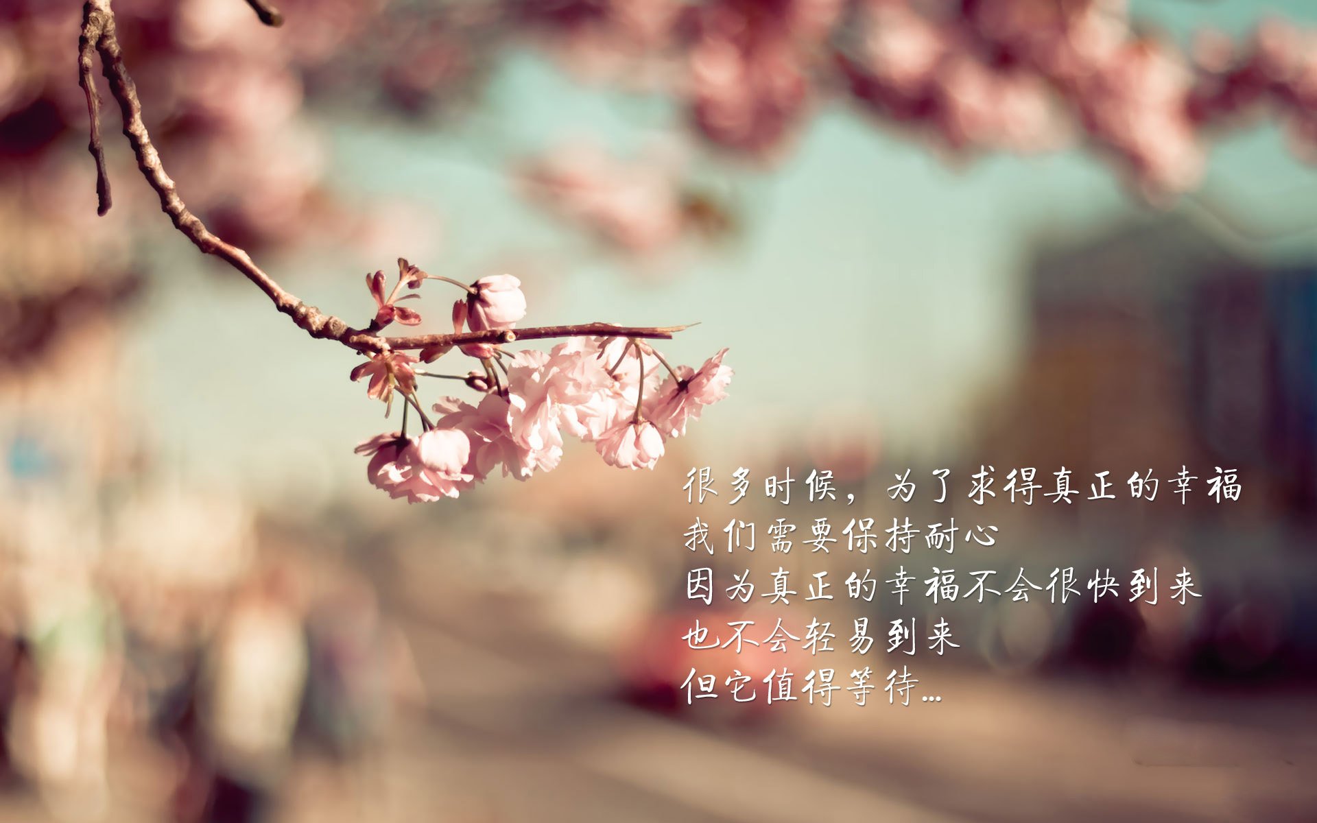 下载乐鱼体育APP-中甲球队设置互动日活动拉近与球迷之间的距离，足球比赛中甲