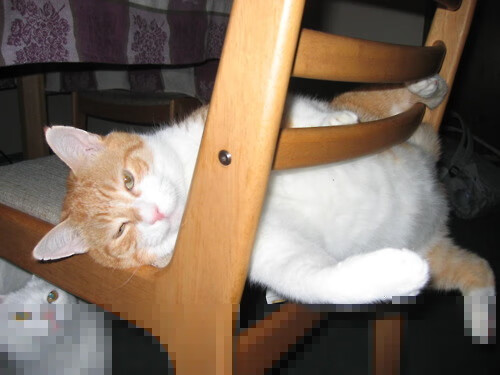 乐鱼官方登录入口-勇士教练强调防守是争冠最大关键，勇士的防守体系是什么