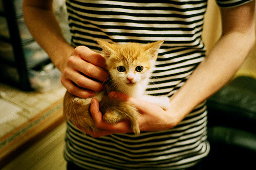 勇士新秀完成签约家人现场见证激动落泪,2020nba勇士新秀