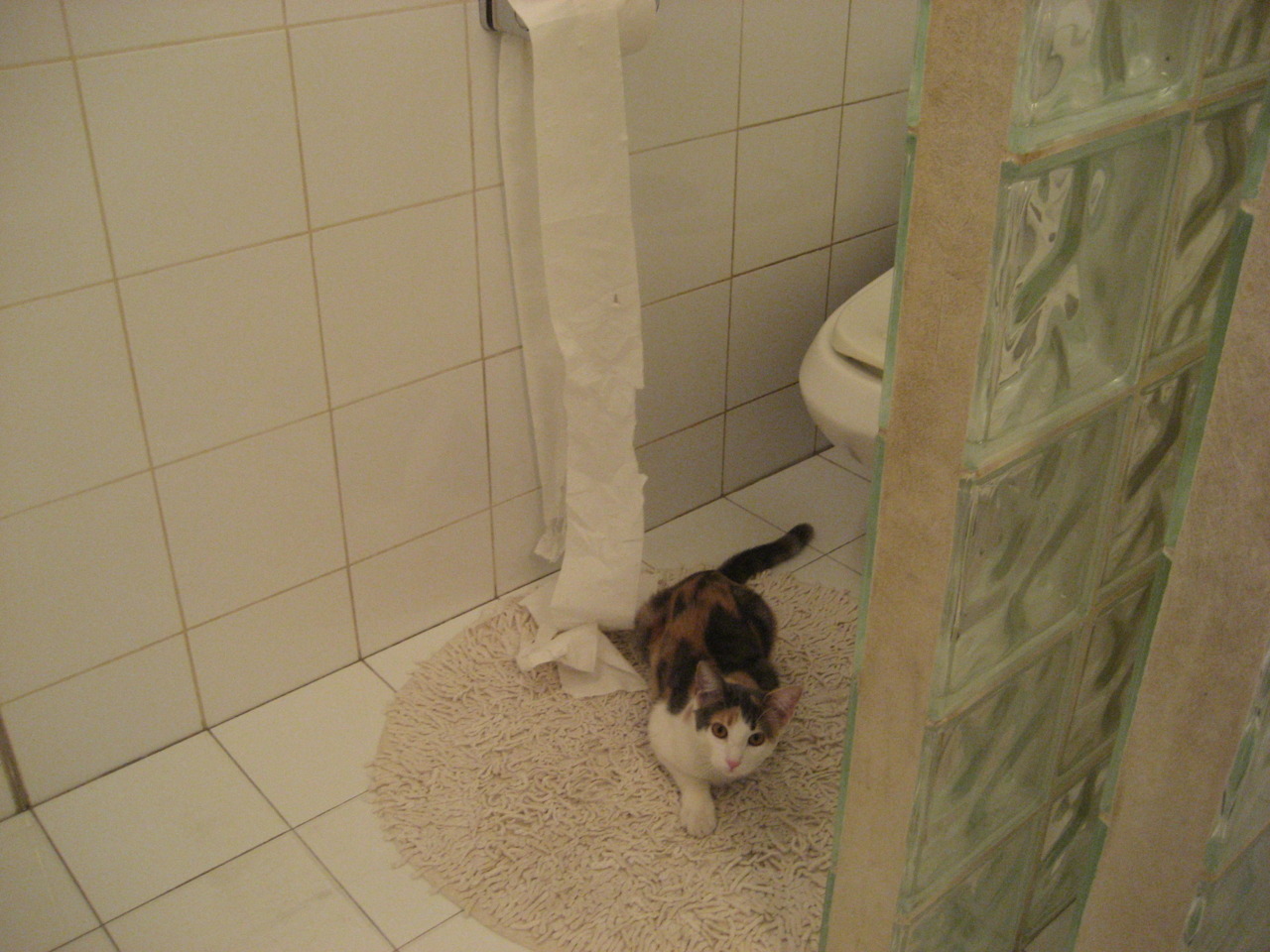 詹姆斯封盖瞬间引爆全场欢呼,詹姆斯封盖集锦